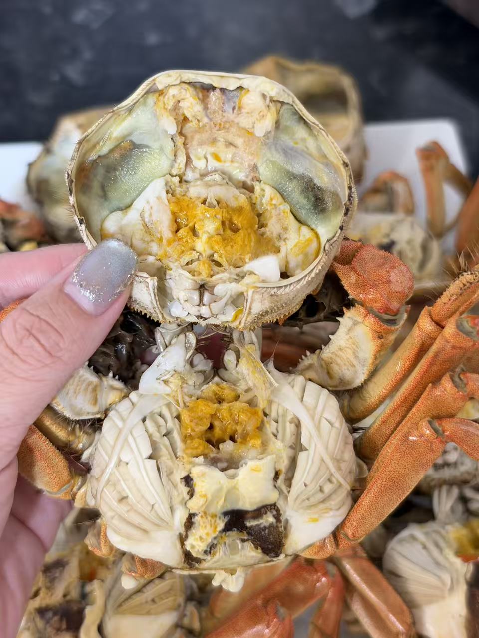 蒸熟后蟹黄饱满的大闸蟹